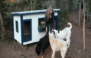 Cindy with Frankie, Sammie, & Max - SC